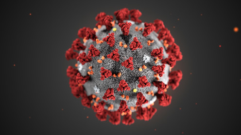 Représentation 3D du coronavirus 2019-nCoV. Les spicules rouges, qui sont vus comme une couronne (« corona ») en microscopie, lui servent à pénétrer dans les cellules. Alissa Eckert/CDC