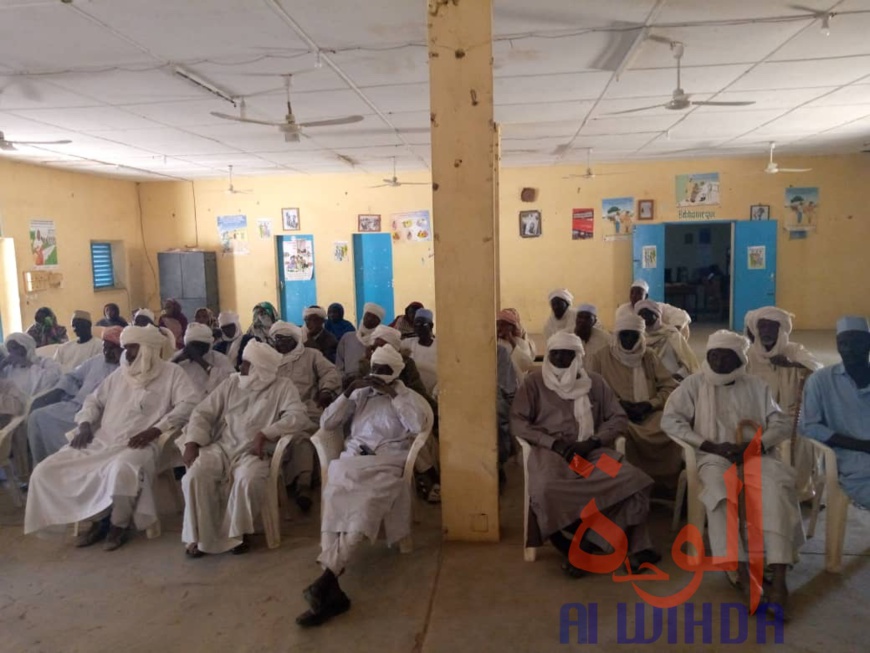 Tchad : au Batha, un fonds de soutien s'active pour 26 enseignants en détresse. © Hassan Djidda/Alwihda Info Tchad : au Batha, un fonds de soutien s'active pour 26 enseignants en détresse. © Hassan Djidda/Alwihda Info