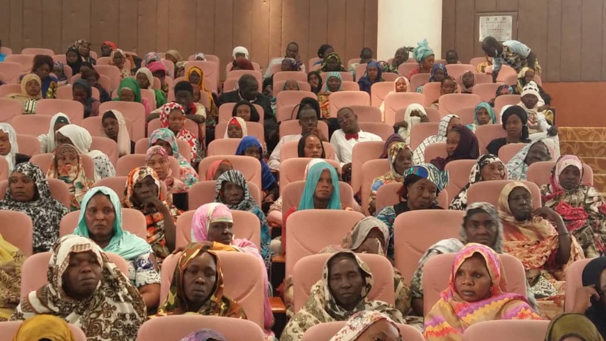 Tchad : la formation professionnelle se concrétise pour une centaine de femmes. © Mahamat Abdramane/Alwihda Info Tchad : la formation professionnelle se concrétise pour une centaine de femmes. © Mahamat Abdramane/Alwihda Info