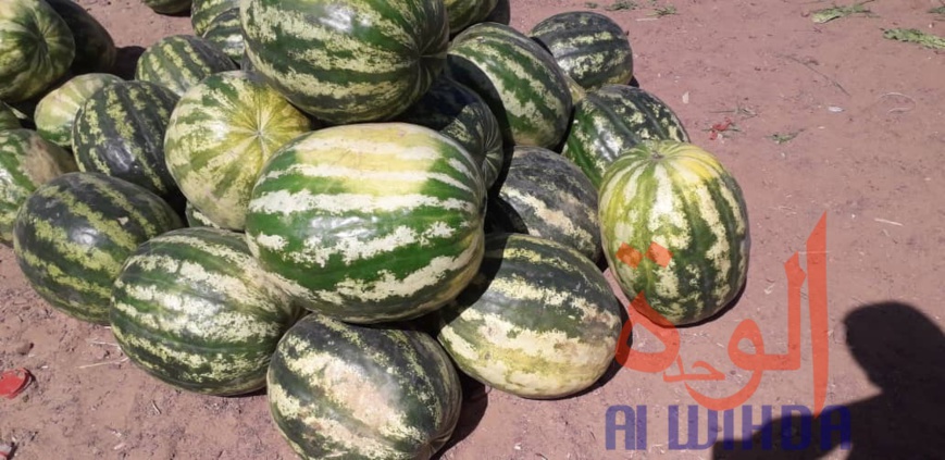 Tchad : Linia, un véritable axe commercial en manque de modernité. © Djibrine Haïdar/Alwihda Info