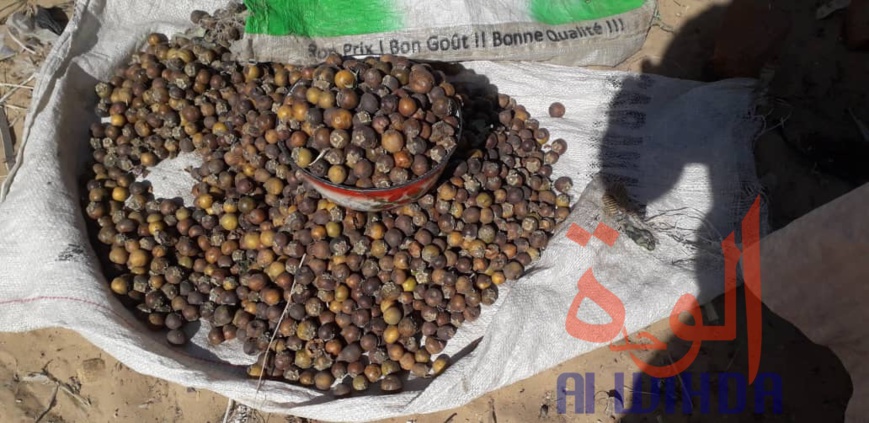 Tchad : Linia, un véritable axe commercial en manque de modernité. © Djibrine Haïdar/Alwihda Info Tchad : Linia, un véritable axe commercial en manque de modernité. © Djibrine Haïdar/Alwihda Info