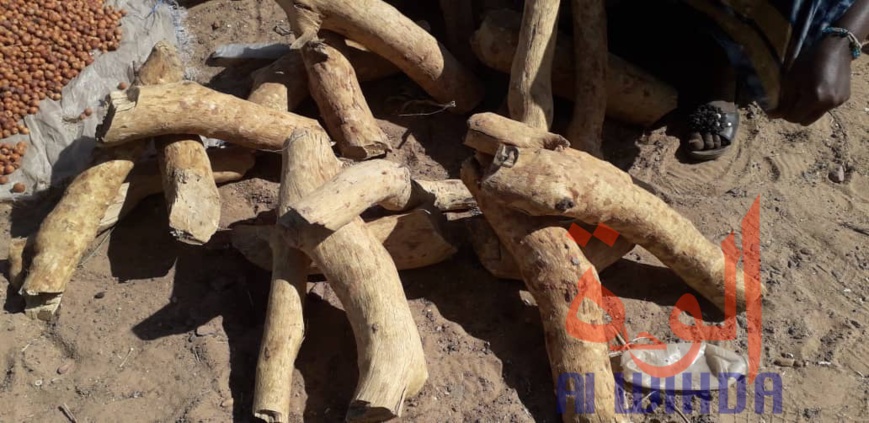 Tchad : Linia, un véritable axe commercial en manque de modernité. © Djibrine Haïdar/Alwihda Info Tchad : Linia, un véritable axe commercial en manque de modernité. © Djibrine Haïdar/Alwihda Info