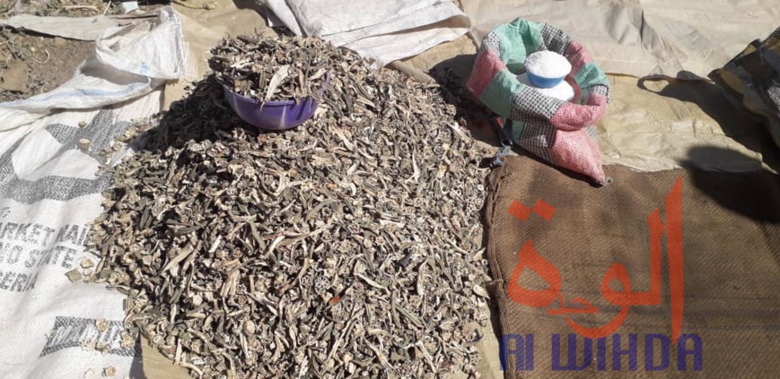 Tchad : Linia, un véritable axe commercial en manque de modernité. © Djibrine Haïdar/Alwihda Info Tchad : Linia, un véritable axe commercial en manque de modernité. © Djibrine Haïdar/Alwihda Info