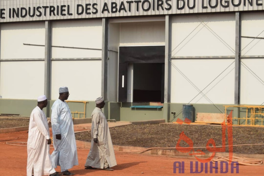 Tchad : l'abattoir moderne de Moundou, une aubaine économique. © Alwihda Info/PR Tchad : l'abattoir moderne de Moundou, une aubaine économique. © Alwihda Info/PR