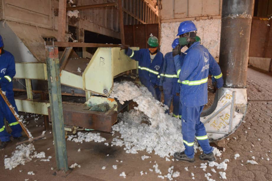 Tchad : 3,24 milliards Fcfa de subvention aux cotonculteurs. © PR Tchad : 3,24 milliards Fcfa de subvention aux cotonculteurs. © PR