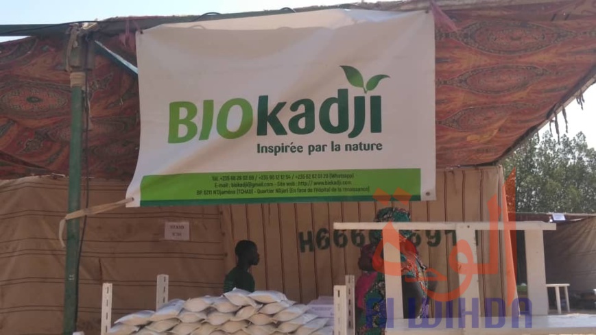 La Maison nationale de la femme organise des évènements pour la SENAFET 2020. © Malick Mahamat Tidjani/Alwihda Info La Maison nationale de la femme organise des évènements pour la SENAFET 2020. © Malick Mahamat Tidjani/Alwihda Info