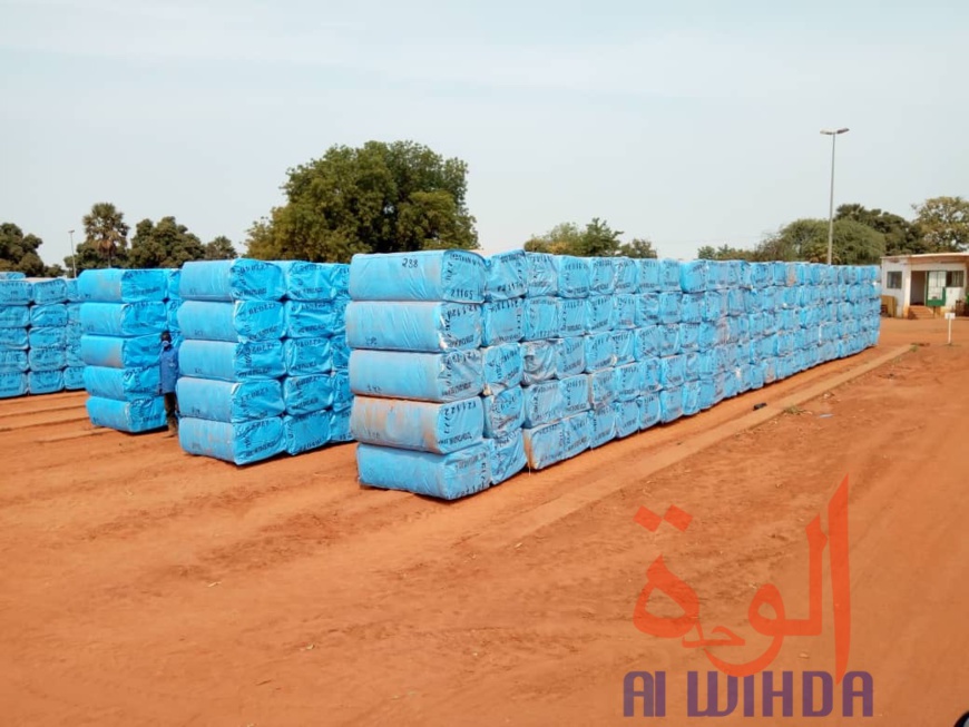 Tchad : la ministre du commerce visite les unités industrielles de Moundou. © Golmen Ali/Alwihda Info