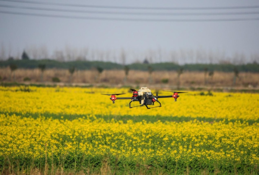 Photo taken on Feb. 27, 2020, shows beautiful spring scenery of green fields in a modern agricultural industrial park in Cixi, east China’s Zhejiang province. (Photo by Fan Yingjie/People’s Daily Online)