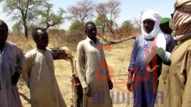 Tchad : opération de la garde forestière au Sila après la destruction d'arbres. © Mahamat Issa Gadaya/Alwihda Info Tchad : opération de la garde forestière au Sila après la destruction d'arbres. © Mahamat Issa Gadaya/Alwihda Info