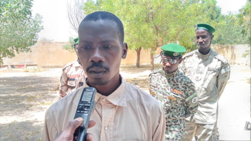 Tchad : 50 hectares de forêt détruits à Djourouf Al-Ahmar, des arrestations. © Kabouche Tchad : 50 hectares de forêt détruits à Djourouf Al-Ahmar, des arrestations. © Kabouche