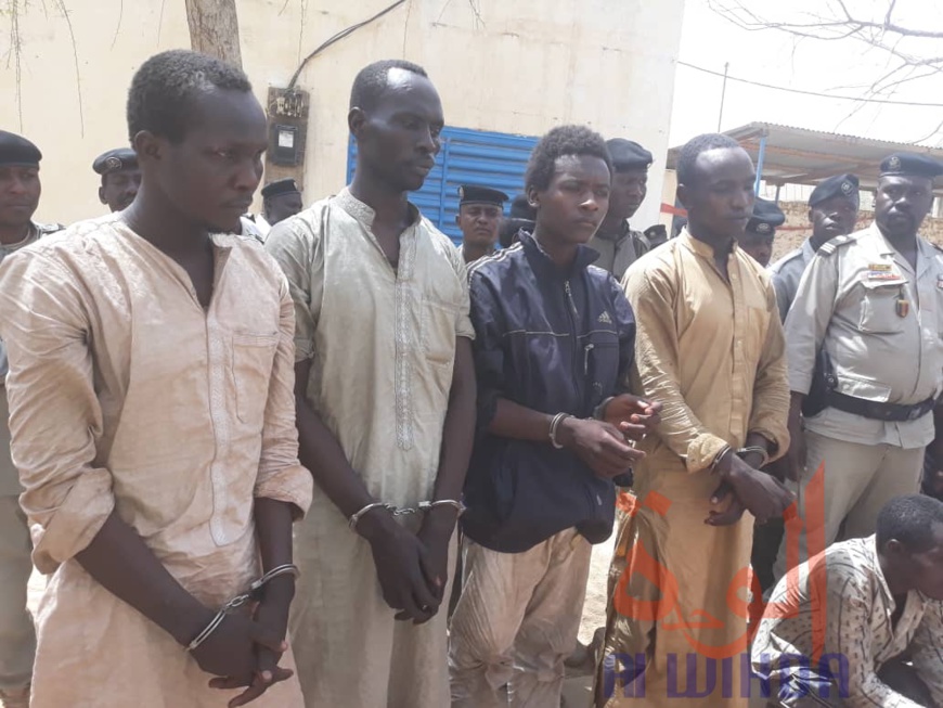 Tchad : une vingtaine d'arrestations à l'Est, des armes et de la drogue saisies Tchad : une vingtaine d'arrestations à l'Est, des armes et de la drogue saisies