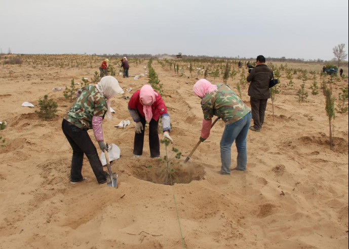 Local villagers plant trees for shelter forest. (All photos above are provided the Habahu National Nature Reserve) Local villagers plant trees for shelter forest. (All photos above are provided the Habahu National Nature Reserve)