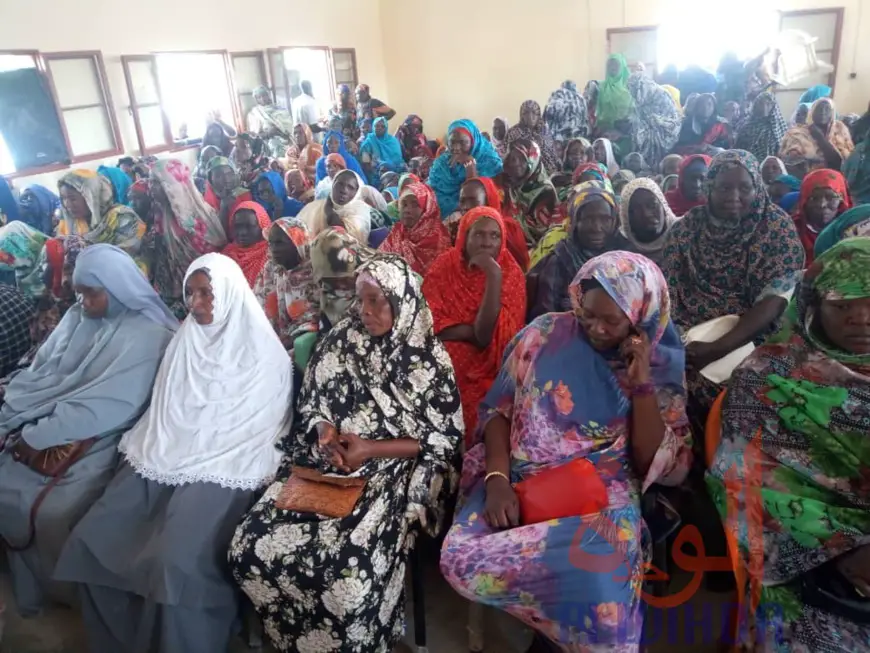 Tchad : des femmes formées sur les activités génératrices de revenus à Mongo