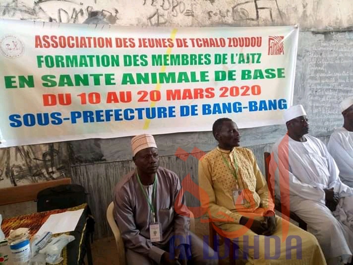 Tchad : la santé animale de base au centre d'une formation près de Mongo. © Béchir Badjoury/Alwihda Info Tchad : la santé animale de base au centre d'une formation près de Mongo. © Béchir Badjoury/Alwihda Info