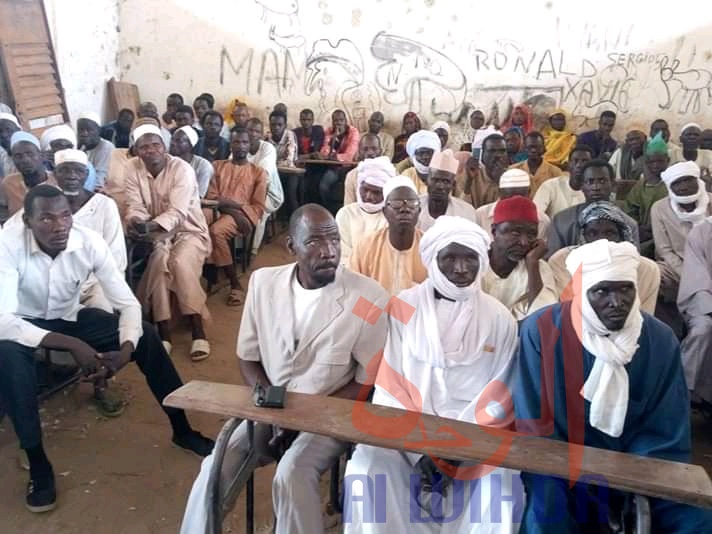 Tchad : la santé animale de base au centre d'une formation près de Mongo. © Béchir Badjoury/Alwihda Info Tchad : la santé animale de base au centre d'une formation près de Mongo. © Béchir Badjoury/Alwihda Info