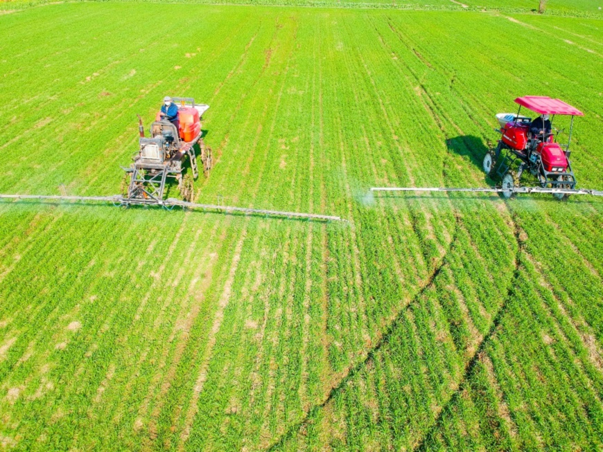 Sprayers designed for small-size fields are widely used in Rugao, Jiangsu Province, as the plowing and sowing season started. Photo by Xu Hui/People’s Daily Sprayers designed for small-size fields are widely used in Rugao, Jiangsu Province, as the plowing and sowing season started. Photo by Xu Hui/People’s Daily