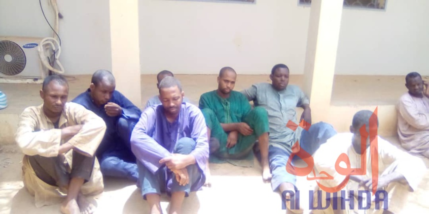 Tchad : 11 malfaiteurs dont sept camerounais arrêtés au Mayo Kebbi Ouest. © Foka Mapagne/Alwihda Info Tchad : 11 malfaiteurs dont sept camerounais arrêtés au Mayo Kebbi Ouest. © Foka Mapagne/Alwihda Info