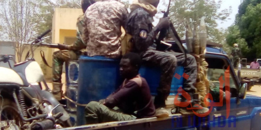 Tchad : 11 malfaiteurs dont sept camerounais arrêtés au Mayo Kebbi Ouest. © Foka Mapagne/Alwihda Info Tchad : 11 malfaiteurs dont sept camerounais arrêtés au Mayo Kebbi Ouest. © Foka Mapagne/Alwihda Info