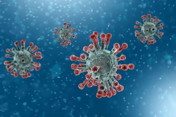 Coronavirus : Le Niger enregistre son premier cas. © DR