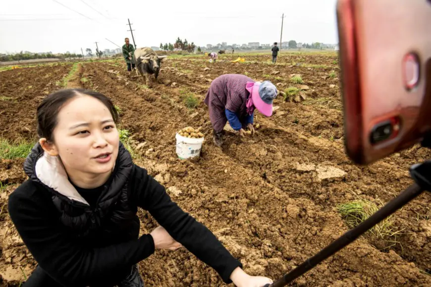 A TV host from the TV station of Xingan county, Ji’an, Jiangxi province livestreams an interview with Huang Shaoming, a potato planter in Luojiaxiang village, Jiebu township, to help him sell potatoes online, March 18. Photo by Li Fusun, People’s Daily Online