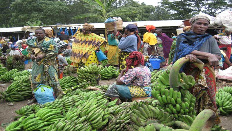 Le grand marché de N'Djamena. © DR