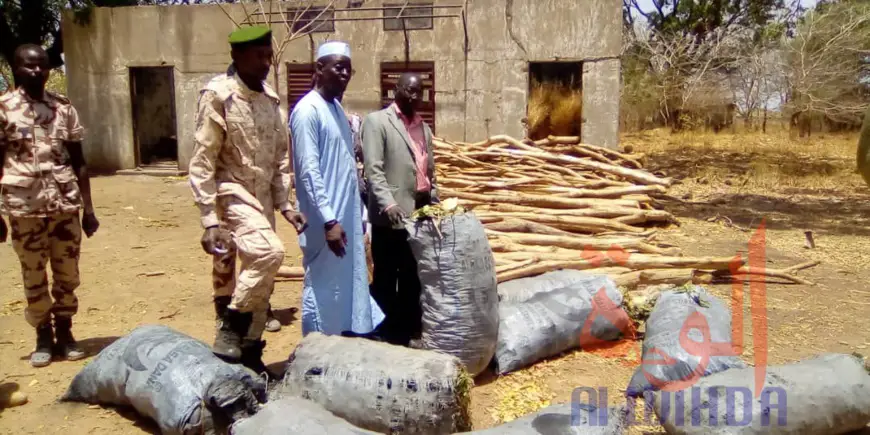 Tchad : à Pala, des produits saisis offerts aux détenus et aux forces de sécurité. © Foka Mapagne/Alwihda Info