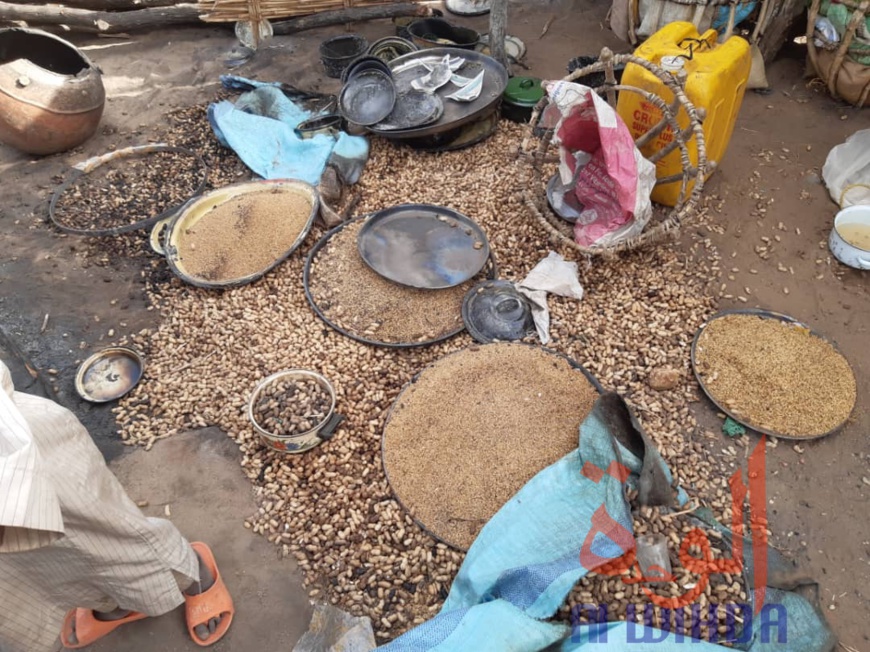 Tchad : un incendie ravage 417 cases dans un village à l'Est. © Alwihda Info