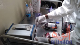 Des tchadiens donnent leur sang pour les militaires blessés au Lac. © Djibrine Haïdar/Alwihda Info Des tchadiens donnent leur sang pour les militaires blessés au Lac. © Djibrine Haïdar/Alwihda Info