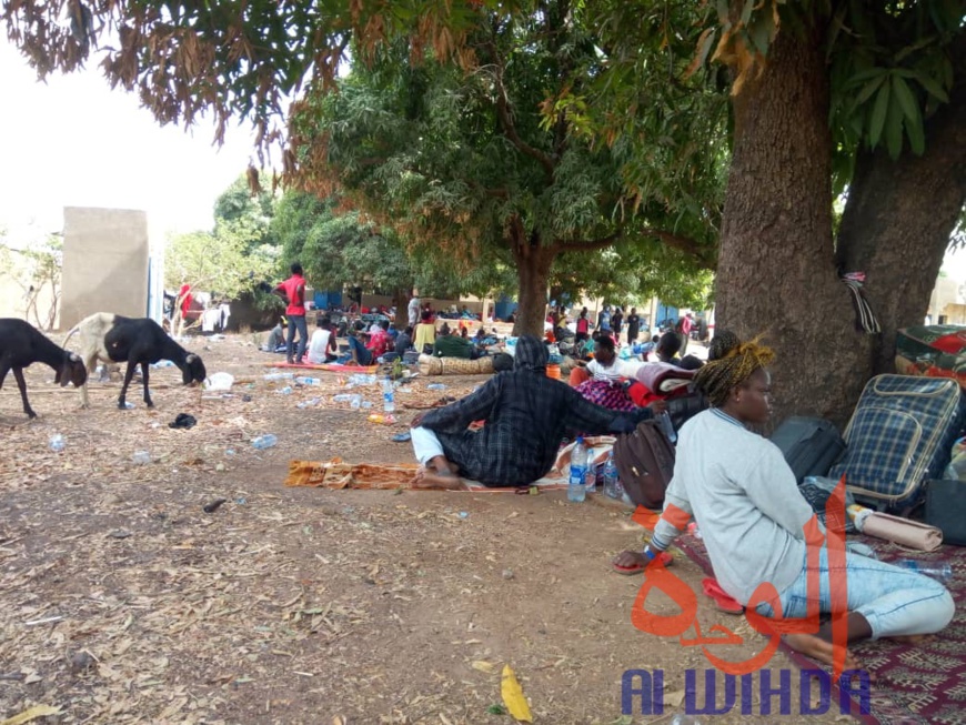 Tchad - Covid-19 : des conditions difficiles pour les étudiants confinés à Koutéré
