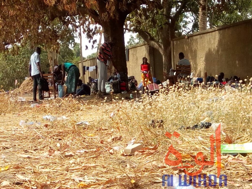 Tchad - Covid-19 : des conditions difficiles pour les étudiants confinés à Koutéré Tchad - Covid-19 : des conditions difficiles pour les étudiants confinés à Koutéré