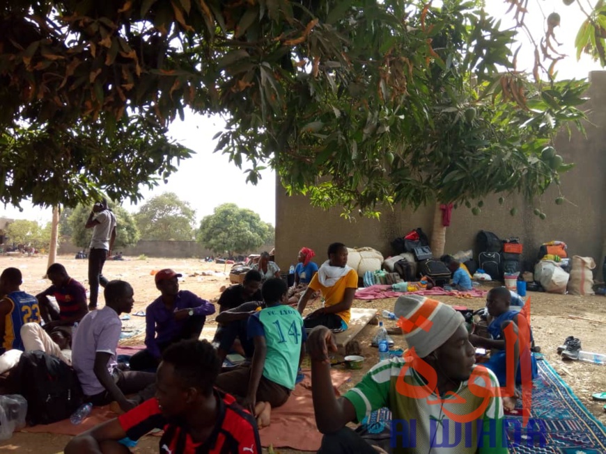 Tchad - Covid-19 : des conditions difficiles pour les étudiants confinés à Koutéré Tchad - Covid-19 : des conditions difficiles pour les étudiants confinés à Koutéré
