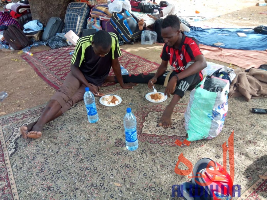 Tchad - Covid-19 : des conditions difficiles pour les étudiants confinés à Koutéré Tchad - Covid-19 : des conditions difficiles pour les étudiants confinés à Koutéré