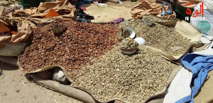 Des aliments dans un marché au Tchad. © Hassan Djidda/Alwihda Info