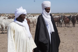 Tchad - Coronavirus : Wadi Koundi revoit tout ses prix à la baisse. © DR/Wadi Koundi