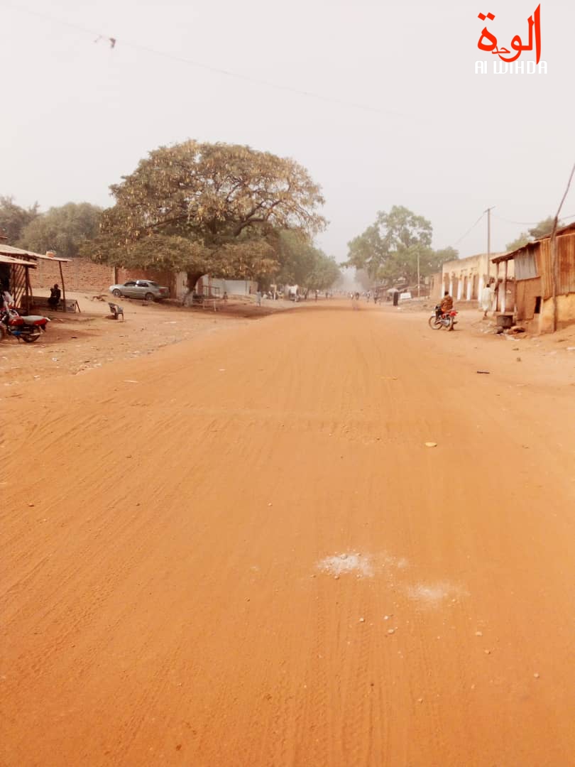 La ville de Pala, chef-lieu du Mayo Kebbi Ouest. Illustration. © F.M./Alwihda Info