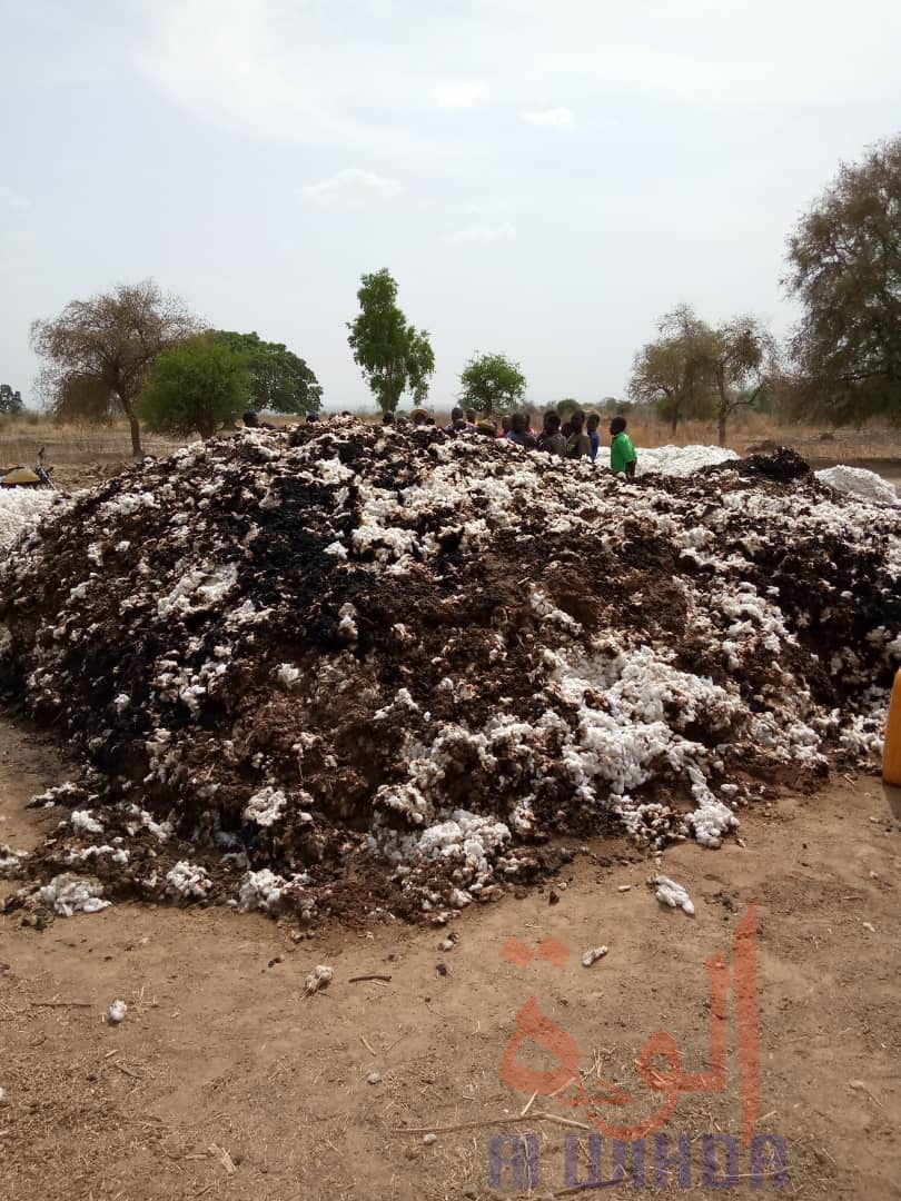 Tchad : des paysans avec des larmes aux yeux à Pala. © Foka Mapagne/Alwihda Info Tchad : des paysans avec des larmes aux yeux à Pala. © Foka Mapagne/Alwihda Info