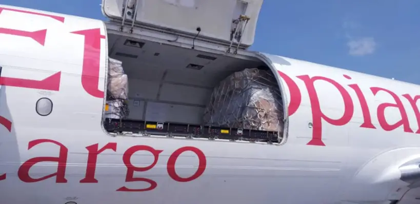 Un avion cargo transporte des dons en provenance de Chine, en mars 2020. Illustration. © DR/Abiy Ahmed/Twitter