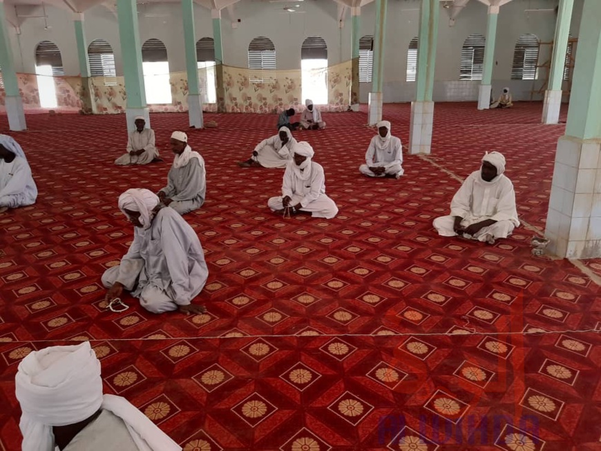 تشاد: في وادي فيرا ، يقرأ الأئمة القرآن ويصلي لله من أجل السلام. © حسنين محمد حسن / معلومات الوحدة تشاد: في وادي فيرا ، يقرأ الأئمة القرآن ويصلي لله من أجل السلام. © حسنين محمد حسن / معلومات الوحدة