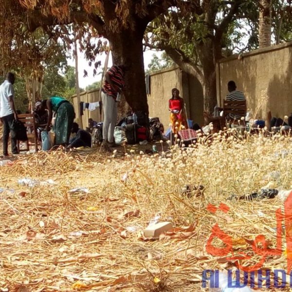Covid-19 : Le site de confinement de l'école du centre de Koutéré, au Logone Oriental, Tchad. © Golmen Ali/Alwihda Info Covid-19 : Le site de confinement de l'école du centre de Koutéré, au Logone Oriental, Tchad. © Golmen Ali/Alwihda Info