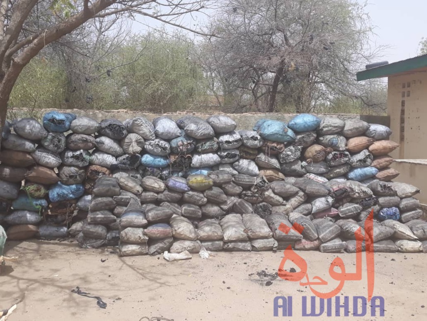 Tchad : 600 sacs de charbon et 5 véhicules chargés de bois interceptés au Ouaddaï. © Abba Issa/Alwihda Info Tchad : 600 sacs de charbon et 5 véhicules chargés de bois interceptés au Ouaddaï. © Abba Issa/Alwihda Info