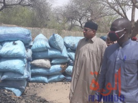 Tchad : 600 sacs de charbon et 5 véhicules chargés de bois interceptés au Ouaddaï. © Abba Issa/Alwihda Info Tchad : 600 sacs de charbon et 5 véhicules chargés de bois interceptés au Ouaddaï. © Abba Issa/Alwihda Info