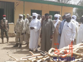 Tchad : 600 sacs de charbon et 5 véhicules chargés de bois interceptés au Ouaddaï. © Abba Issa/Alwihda Info Tchad : 600 sacs de charbon et 5 véhicules chargés de bois interceptés au Ouaddaï. © Abba Issa/Alwihda Info