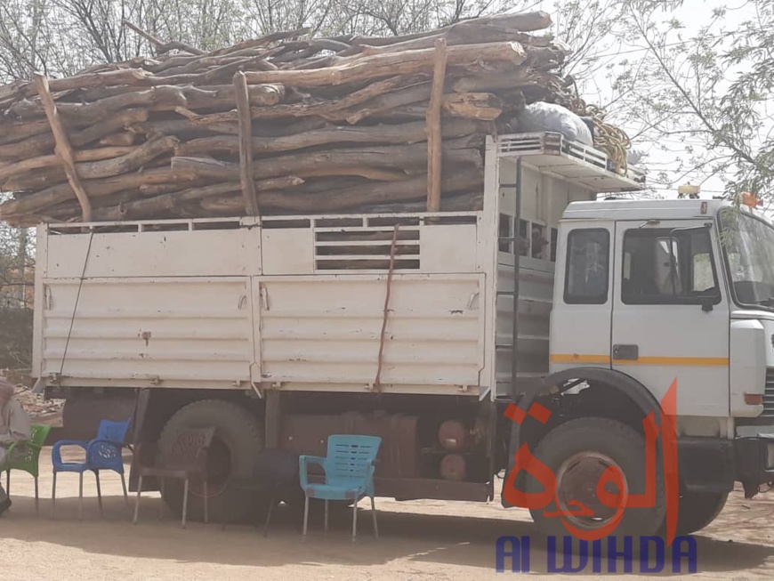 Tchad : 600 sacs de charbon et 5 véhicules chargés de bois interceptés au Ouaddaï. © Abba Issa/Alwihda Info Tchad : 600 sacs de charbon et 5 véhicules chargés de bois interceptés au Ouaddaï. © Abba Issa/Alwihda Info
