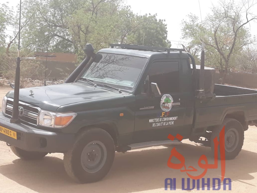 Tchad : 600 sacs de charbon et 5 véhicules chargés de bois interceptés au Ouaddaï. © Abba Issa/Alwihda Info Tchad : 600 sacs de charbon et 5 véhicules chargés de bois interceptés au Ouaddaï. © Abba Issa/Alwihda Info