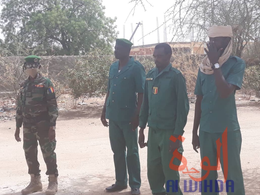 Tchad : 600 sacs de charbon et 5 véhicules chargés de bois interceptés au Ouaddaï. © Abba Issa/Alwihda Info Tchad : 600 sacs de charbon et 5 véhicules chargés de bois interceptés au Ouaddaï. © Abba Issa/Alwihda Info