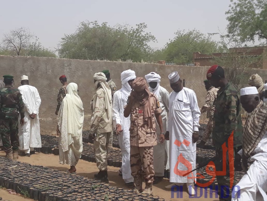 Tchad : 600 sacs de charbon et 5 véhicules chargés de bois interceptés au Ouaddaï. © Abba Issa/Alwihda Info Tchad : 600 sacs de charbon et 5 véhicules chargés de bois interceptés au Ouaddaï. © Abba Issa/Alwihda Info