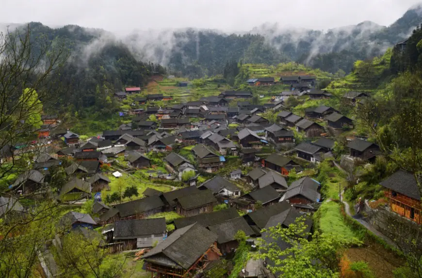 Wengcao village in Guzhang county, Xiangxi Tujia and Miao Autonomous Prefecture in central China’s Hunan province is home to more than 800 redisents from 180 households. It is a village of Miao ethnic group. It picks the first batch of tea leaves this spring. Photo by Chen Bisheng, People’s Daily Online