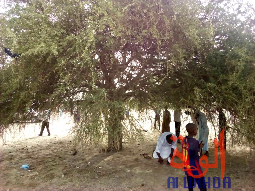 Tchad : excédé par les difficultés, un homme se suicide par pendaison Tchad : excédé par les difficultés, un homme se suicide par pendaison