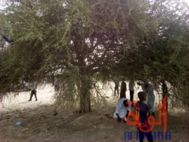 Tchad : suicide d'un homme à Massakory, ses proches témoignent. © Mbainaissem Gédéon Mbeïbadoum/Alwihda Info