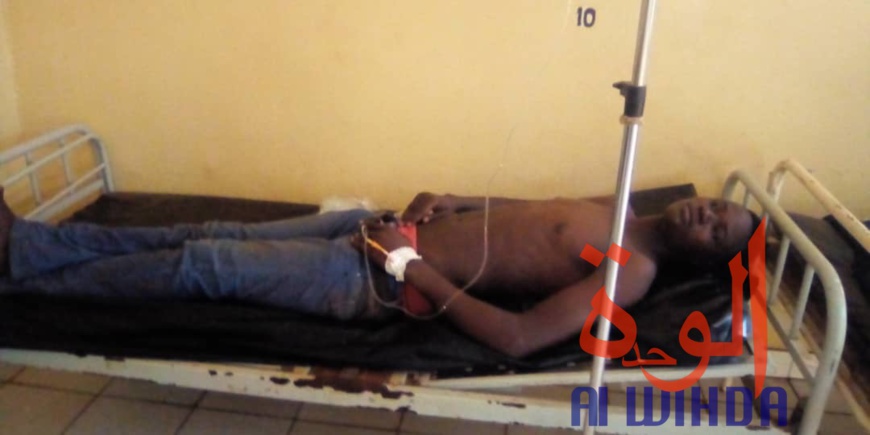 Tchad : deux morts dans un drame à l'usine Pala 2 de la Coton Tchad. © Foka Mapagne/Alwihda Info Tchad : deux morts dans un drame à l'usine Pala 2 de la Coton Tchad. © Foka Mapagne/Alwihda Info